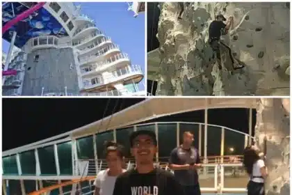 Tips Melamar Kerja Kapal Pesiar