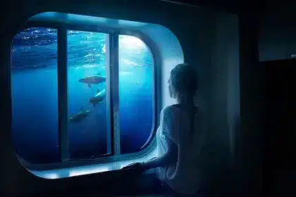 Daftar Pertanyaan Paling Aneh Dan Menjengkelkan Dari Penumpang Kapal Pesia