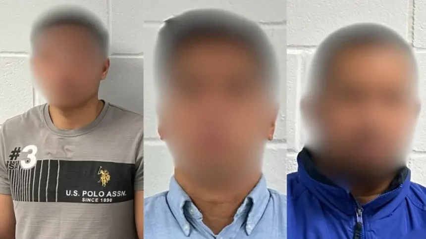 child cruise ship exploitation